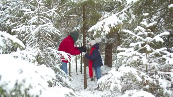 Papá y su hija sacuden un árbol para causar nevadas — Vídeo de stock