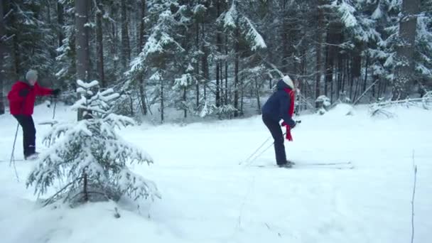 Skiërs glijden snel over de piste in het bos — Stockvideo