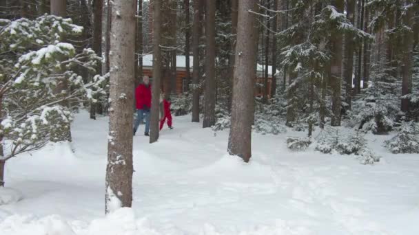 Família caminha pela floresta em queda de neve — Vídeo de Stock