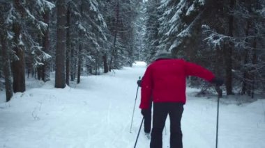 Kayakçılar kar yağışı sırasında ormanda gezerler.
