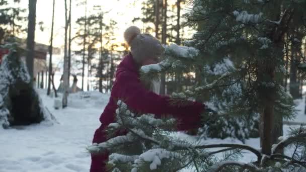Flicka skakar en tallstam och orsakar snöfall — Stockvideo