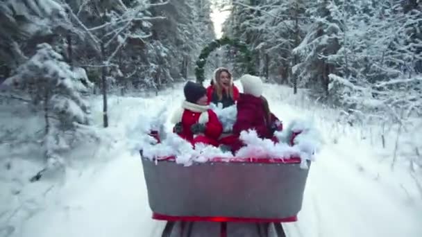 Familjen åker snabbt på släde i en snöig skog — Stockvideo