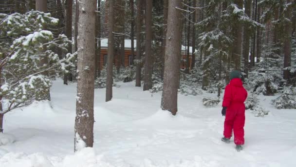 Familia con niños pasea en el bosque de invierno — Vídeo de stock