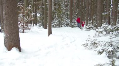 Oğlu babasıyla karlı ağaçların arasında oynuyor. Görünüm