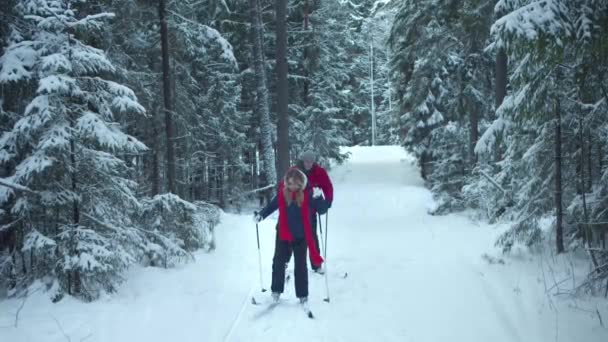 Beginnende skiërs wandelen in het sparrenbos — Stockvideo