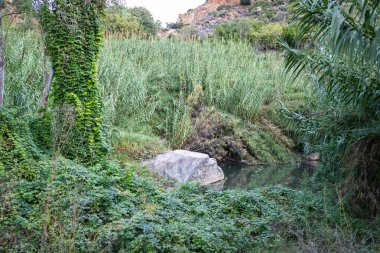 Nehrin taşlı manzarası