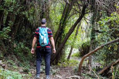 Yürüyüş yapan adam.