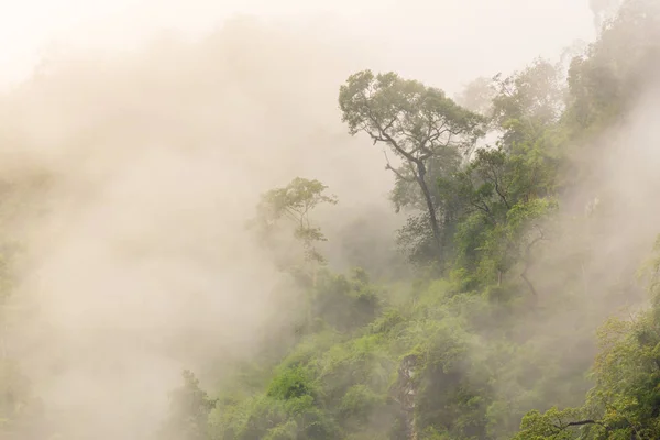 Montanhas Nevoeiro Durante Uma Chuva Bela Paisagem Nebulosa Copiar Espaço — Fotografia de Stock