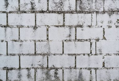 Çimento tuğla veya blok Duvar Beyaz Renk Boyalı doku arka plan