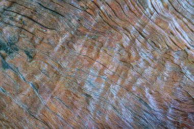 Eski, pürüzlü ahşap zemin ya da kıymık ve düğümlerle kaplı yüzey. Bir ahırda ya da eski bir evde yaşlanmış odun.