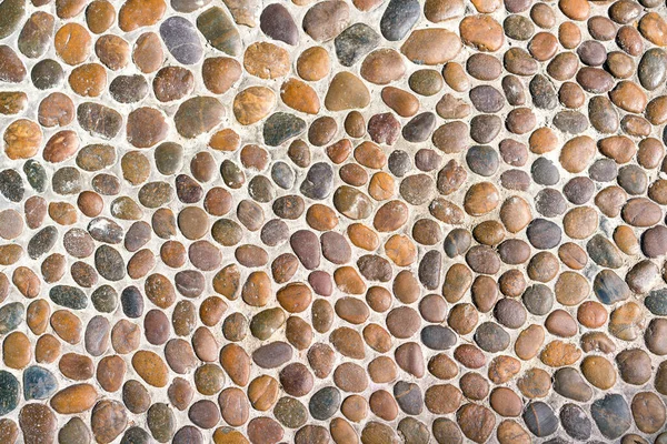 Sea Pebbles Background Pebbles Multi Colored Pebbles Wall Floor Decoration — Stock Photo, Image