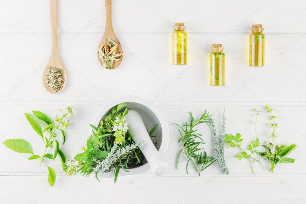 Bottles of Essential Oil with Fresh Herbs. Medicinal Plants.