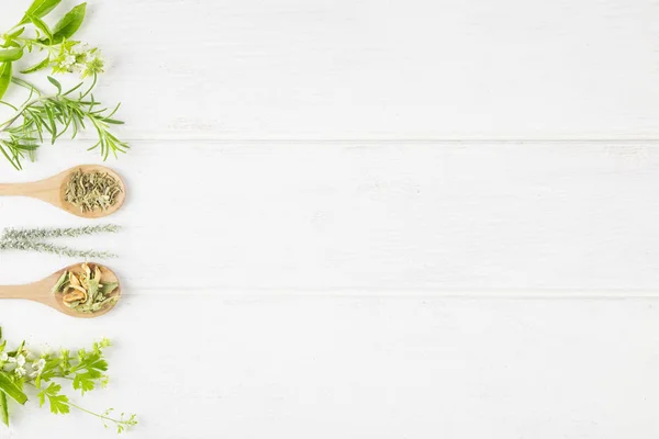 Medicinal Herbs on white background. Top view. Copy Space.