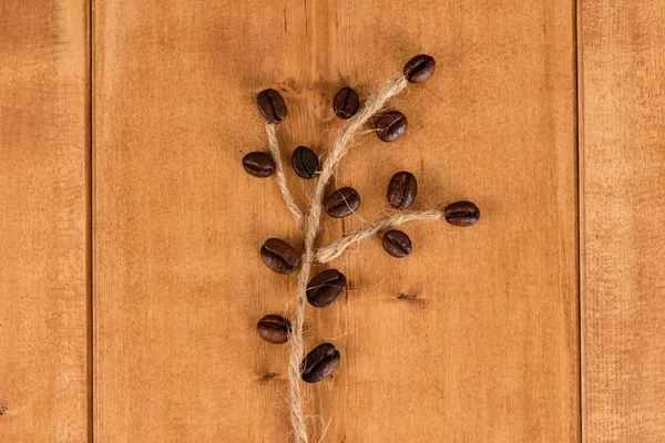 Roasted bean coffee laid out as a branch