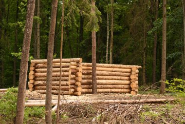 Ahşap yapım, kütük ev teknolojisi.