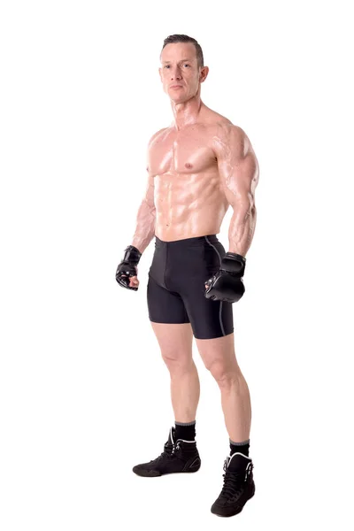 Fighter posing with gloves — Stock Photo, Image