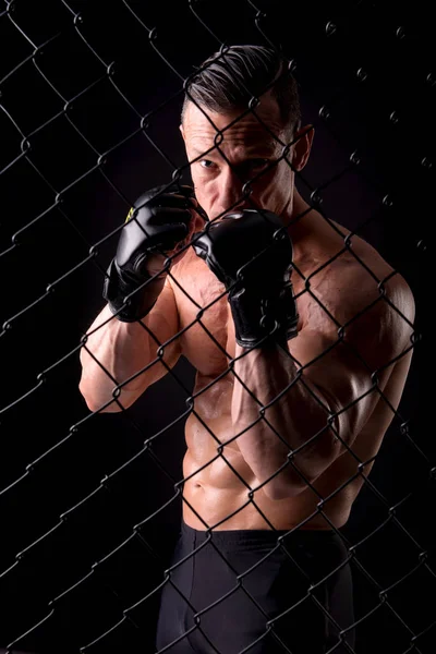 Боксер в перчатках — стоковое фото