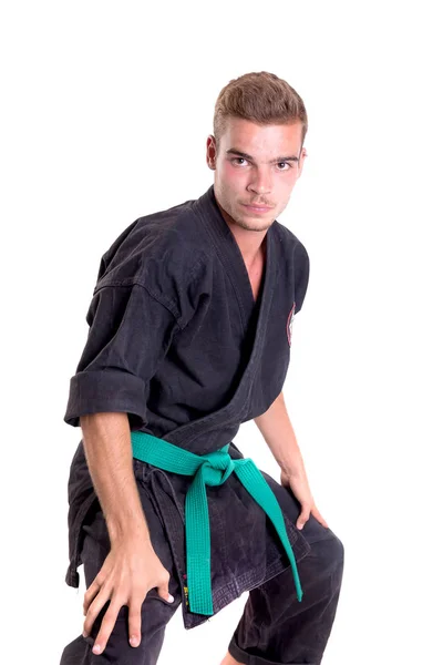 Karate vechter poseren — Stockfoto