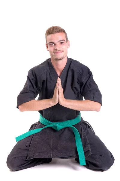 Karate fighter posing — стоковое фото