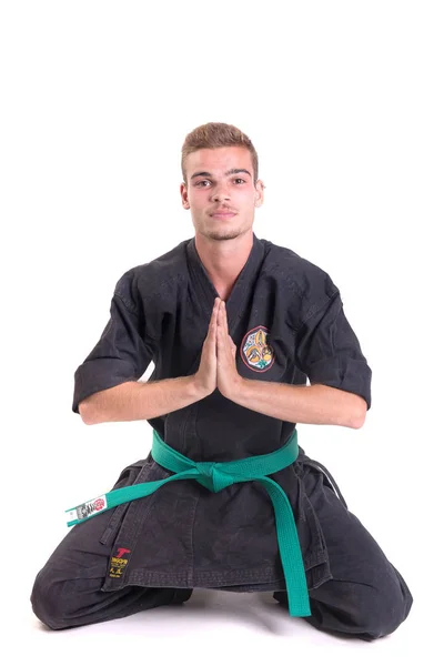 Karate fighter posing — стоковое фото