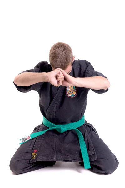 Karate vechter poseren — Stockfoto