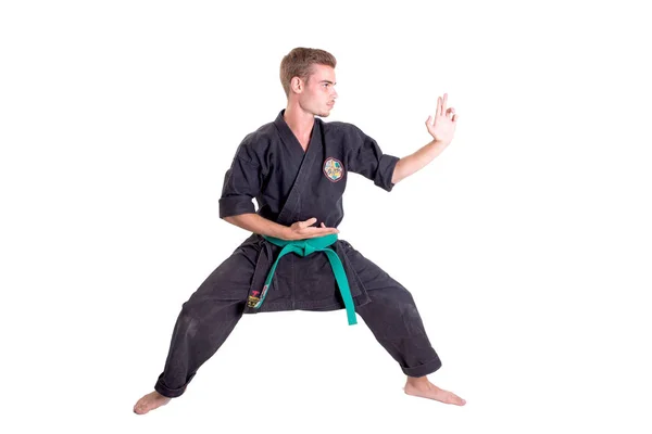 Karate fighter poserar — Stockfoto