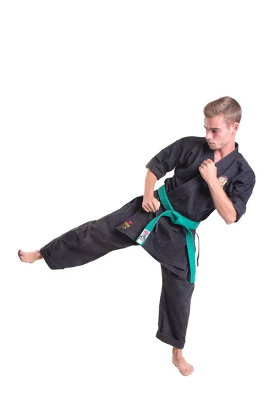 Karate fighter poserar — Stockfoto