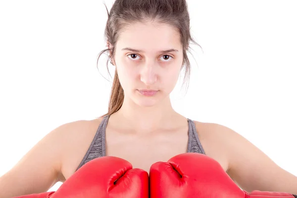 Young boxer — Stock Photo, Image