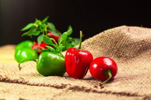 Rocoto Manzano Rojo biberleri (Capsicum pubescens)..