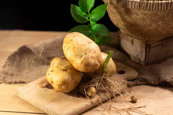 Raw potato food . Fresh potatoes with leaf on wooden ,black background. selective focus