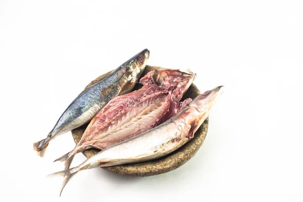 Азійська Риба Макерел Ізольована Білому Тлі — стокове фото