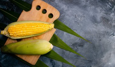 Siyah arka planda olgun mısır koçanları. Üst Manzara. Boşluğu kopyala