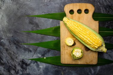 Siyah arka planda olgun mısır koçanları. Üst Manzara. Boşluğu kopyala