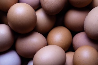 Esmer tavuk çiğ yumurta arka plan