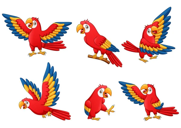 Set Funny Parrot Cartoon Vector Illustration — Stock Vector
