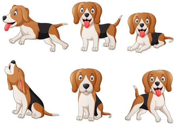 Beagle Dog çizgi filmi seti. Vektör illüstrasyonu