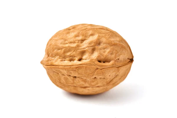Walnut on a white background. — Stock Photo, Image
