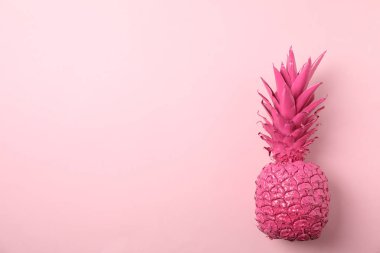 Renkli arkaplan üzerine boyanmış pembe ananas, metin için boşluk