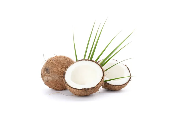 Hojas de palma, coco y dos mitades aisladas sobre fondo blanco — Foto de Stock