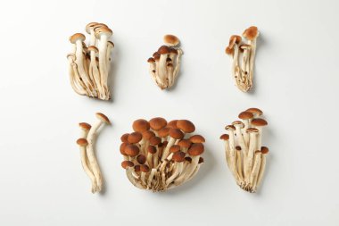 Beyaz arka planda bal mantarlı düz yatıyordu.