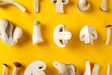 Sarı arka planda farklı mantarlarla düz yatıyordu.