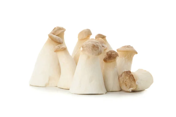 Cogumelos eringi frescos isolados sobre fundo branco — Fotografia de Stock