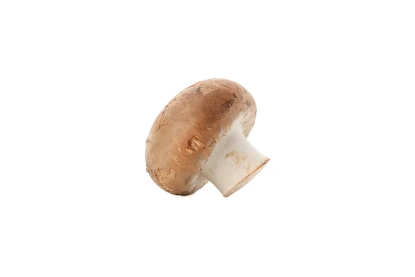 Cogumelo de champignon cru isolado no fundo branco, close-up — Fotografia de Stock