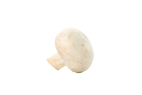 Champiñón crudo aislado sobre fondo blanco, primer plano — Foto de Stock