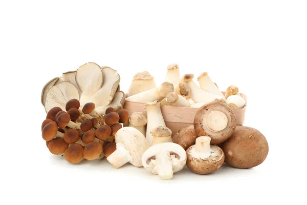 Cogumelos diferentes e recipiente isolado no fundo branco — Fotografia de Stock