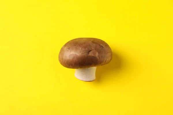 Champignon mushroom on yellow background, space for text — ストック写真