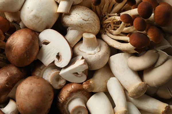 Cogumelos diferentes fundo texturizado, close-up — Fotografia de Stock