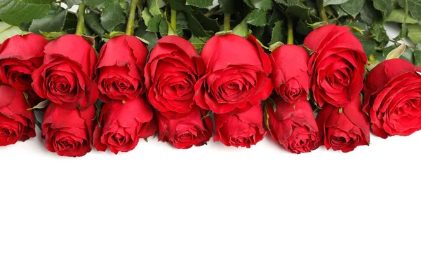 Komposition mit roten Rosen auf weißem Hintergrund, Nahaufnahme — Stockfoto