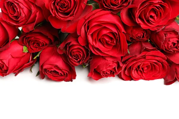 Composição com buquê de rosas vermelhas isoladas em backgrou branco — Fotografia de Stock
