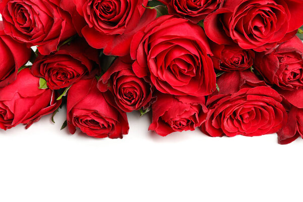 Composition with bouquet of red roses isolated on white backgrou